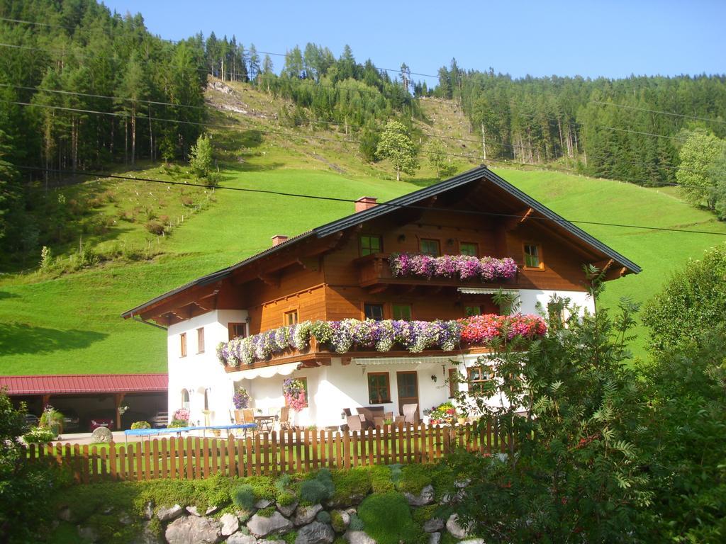 Untersteinhof Apartment Forstau  Exterior photo